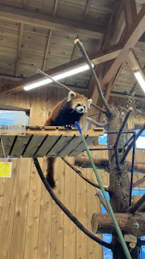 伊豆シャボテン動物公園に投稿された画像（2026/3/26）