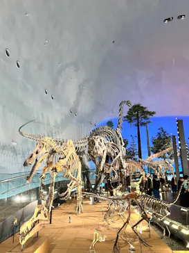 福井県立恐竜博物館に投稿された画像（2026/3/26）