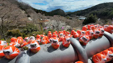 勝尾寺に投稿された画像（2026/3/26）