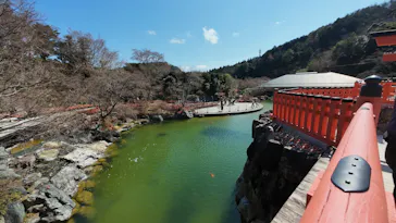 勝尾寺に投稿された画像（2026/3/26）