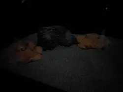 サンシャイン水族館に投稿された画像（2026/3/26）