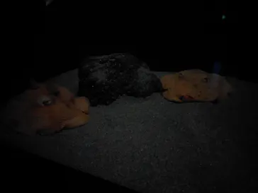 サンシャイン水族館に投稿された画像（2026/3/26）