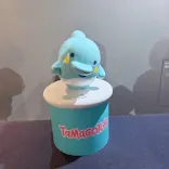 新江ノ島水族館に投稿された画像（2026/3/26）