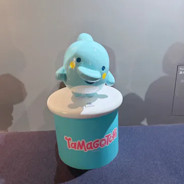 新江ノ島水族館に投稿された画像（2026/3/26）