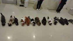 Cat Café MOFF アリオ倉敷店に投稿された画像（2026/3/26）