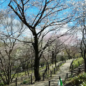 名古屋市東山動植物園に投稿された画像（2026/3/26）