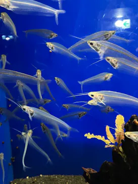 サンシャイン水族館に投稿された画像（2026/3/26）