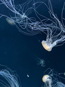 サンシャイン水族館に投稿された画像（2026/3/26）