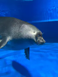 サンシャイン水族館に投稿された画像（2026/3/26）