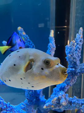 サンシャイン水族館に投稿された画像（2026/3/26）