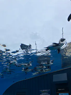 サンシャイン水族館に投稿された画像（2026/3/26）
