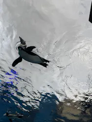 サンシャイン水族館に投稿された画像（2026/3/26）