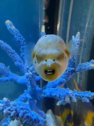 サンシャイン水族館に投稿された画像（2026/3/26）