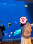 環境水族館アクアマリンふくしまに投稿された画像（2026/3/26）