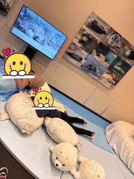 環境水族館アクアマリンふくしまに投稿された画像（2026/3/26）