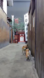 大阪市立住まいのミュージアム（大阪くらしの今昔館）に投稿された画像（2026/3/26）