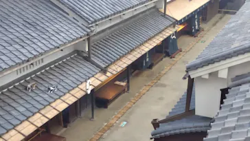 大阪市立住まいのミュージアム（大阪くらしの今昔館）に投稿された画像（2026/3/26）