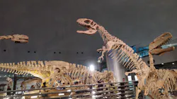 福井県立恐竜博物館に投稿された画像（2026/3/26）