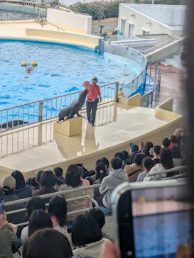 マリンワールド海の中道に投稿された画像（2026/3/26）