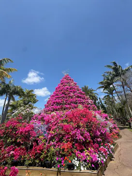 美らヤシパークオキナワ・東南植物楽園に投稿された画像（2026/3/26）