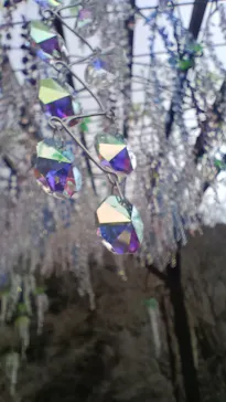 箱根ガラスの森美術館に投稿された画像（2026/3/26）
