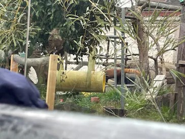 天王寺動物園に投稿された画像（2026/3/26）