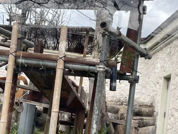 天王寺動物園に投稿された画像（2026/3/26）