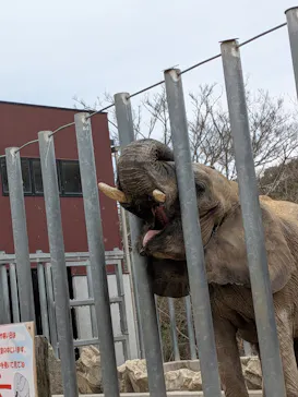 しろとり動物園に投稿された画像（2026/3/26）