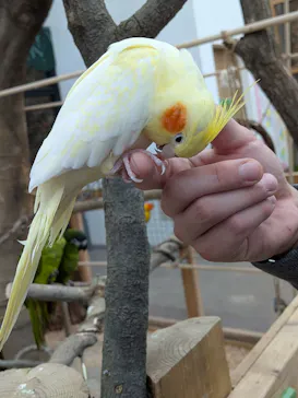 しろとり動物園に投稿された画像（2026/3/26）