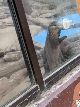 しろとり動物園に投稿された画像（2026/3/26）