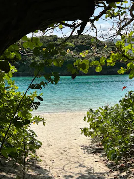 川平マリンサービスに投稿された画像（2026/3/26）