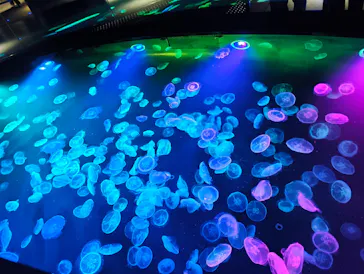 すみだ水族館に投稿された画像（2026/3/26）