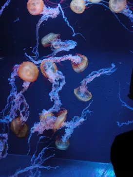 すみだ水族館に投稿された画像（2026/3/26）