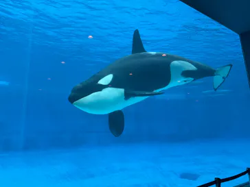 名古屋港水族館に投稿された画像（2026/3/26）