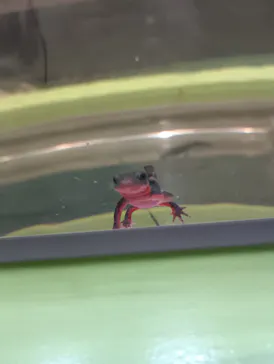 NIFREL（ニフレル）に投稿された画像（2026/3/26）