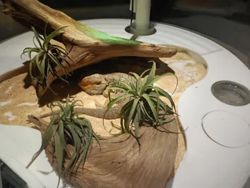 NIFREL（ニフレル）に投稿された画像（2026/3/26）