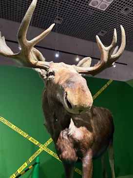 特別展「超危険生物展　科学で挑む生き物の本気」に投稿された画像（2026/3/26）