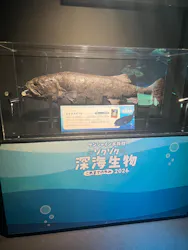 サンシャイン水族館に投稿された画像（2026/3/26）