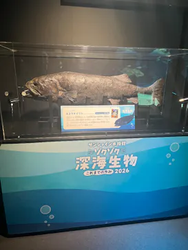 サンシャイン水族館に投稿された画像（2026/3/26）