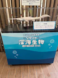サンシャイン水族館に投稿された画像（2026/3/26）