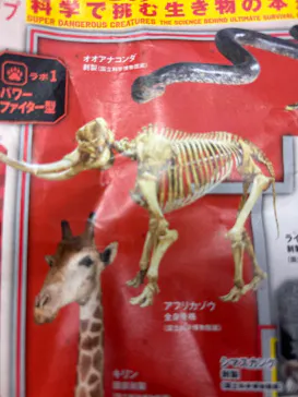 特別展「超危険生物展　科学で挑む生き物の本気」に投稿された画像（2026/3/26）