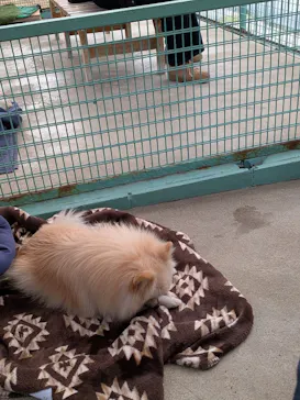 しろとり動物園に投稿された画像（2026/3/26）