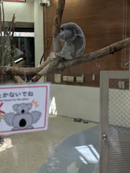 こども動物自然公園（埼玉県公園緑地協会）に投稿された画像（2026/3/26）