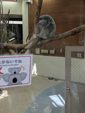 こども動物自然公園（埼玉県公園緑地協会）に投稿された画像（2026/3/26）