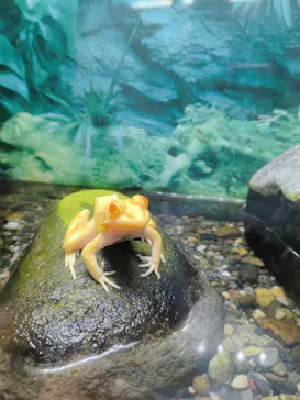 越前松島水族館に投稿された画像（2026/3/26）