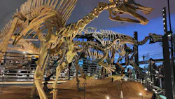 福井県立恐竜博物館に投稿された画像（2026/3/26）