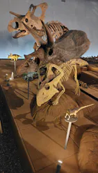 福井県立恐竜博物館に投稿された画像（2026/3/26）