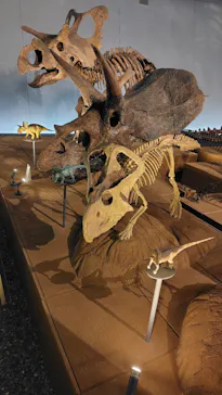 福井県立恐竜博物館に投稿された画像（2026/3/26）