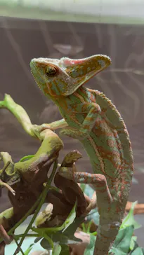 NIFREL（ニフレル）に投稿された画像（2026/3/26）