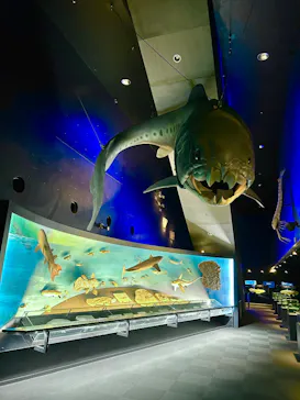 環境水族館アクアマリンふくしまに投稿された画像（2026/3/26）